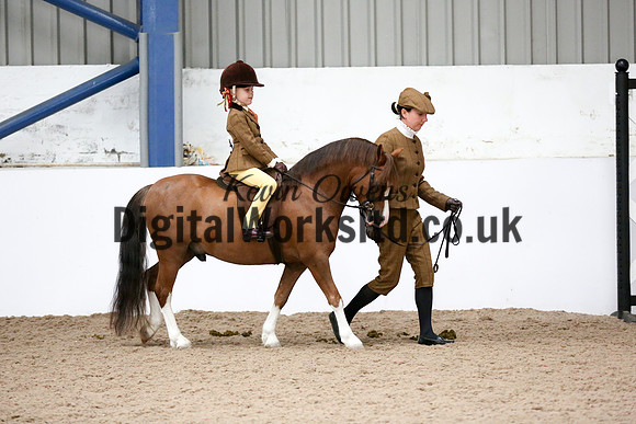 NECWPCA-SUMMER-WELSH-SILVER-MEDAL-SHOW (84 of 325)
