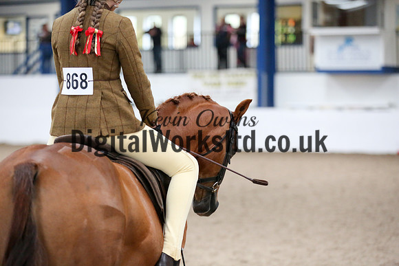 NECWPCA-SUMMER-WELSH-SILVER-MEDAL-SHOW (20 of 334)