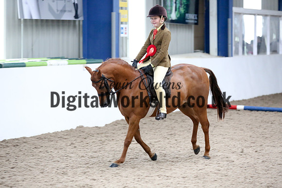 NECWPCA-SUMMER-WELSH-SILVER-MEDAL-SHOW (129 of 315)