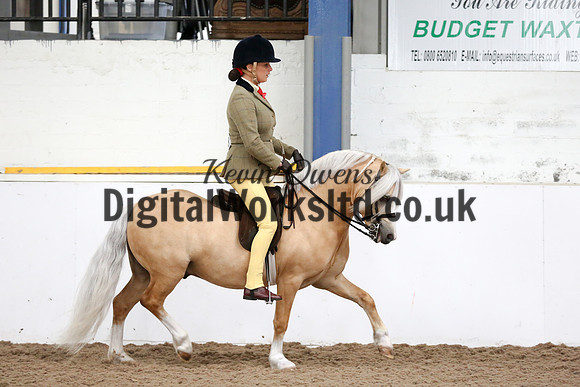 NECWPCA-SUMMER-WELSH-SILVER-MEDAL-SHOW (181 of 315)