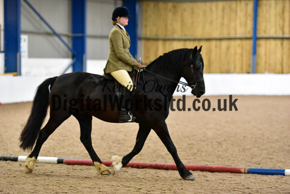 NECWPCA-SUMMER-WELSH-SILVER-MEDAL-SHOW (40 of 315)
