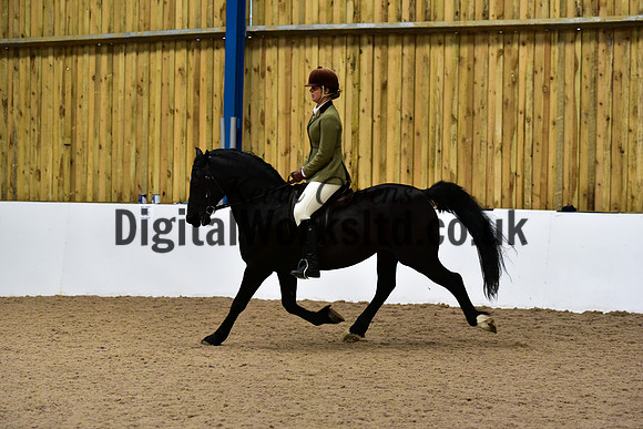 NECWPCA-SUMMER-WELSH-SILVER-MEDAL-SHOW (36 of 92)