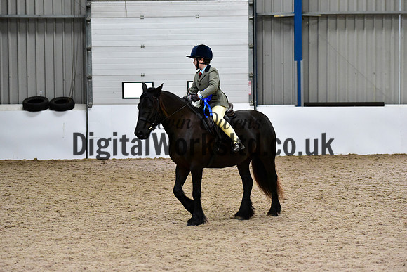 NECWPCA-SUMMER-WELSH-SILVER-MEDAL-SHOW (16 of 334)