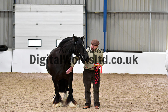 NECWPCA-SUMMER-WELSH-SILVER-MEDAL-SHOW (8 of 150)