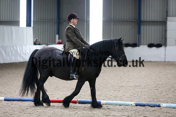 NECWPCA-SUMMER-WELSH-SILVER-MEDAL-SHOW (82 of 315)