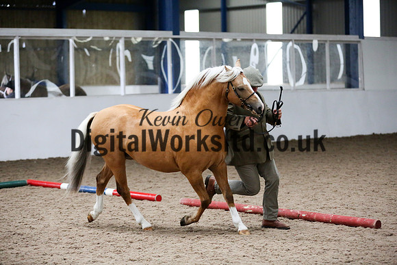 NECWPCA-SUMMER-WELSH-SILVER-MEDAL-SHOW (9 of 134)