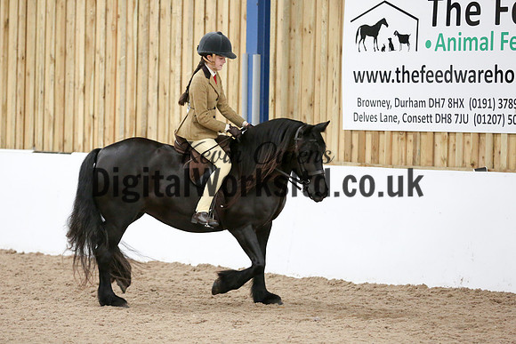 NECWPCA-SUMMER-WELSH-SILVER-MEDAL-SHOW (16 of 120)