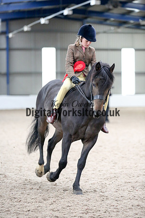 NECWPCA-SUMMER-WELSH-SILVER-MEDAL-SHOW (173 of 325)