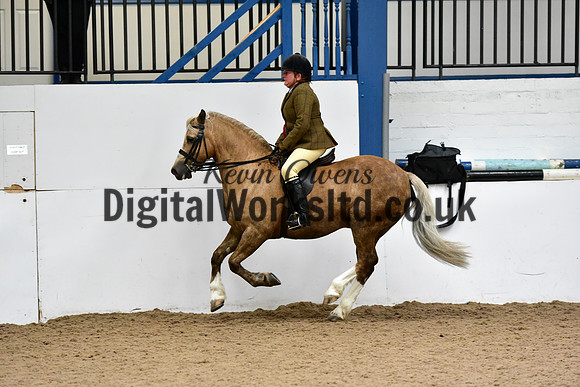 NECWPCA-SUMMER-WELSH-SILVER-MEDAL-SHOW (195 of 325)