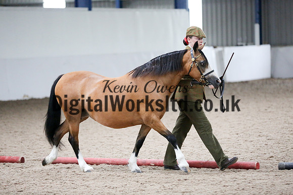 NECWPCA-SUMMER-WELSH-SILVER-MEDAL-SHOW (18 of 427)