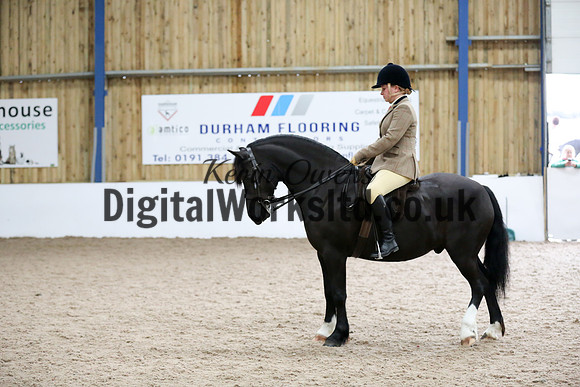 NECWPCA-SUMMER-WELSH-SILVER-MEDAL-SHOW (306 of 315)