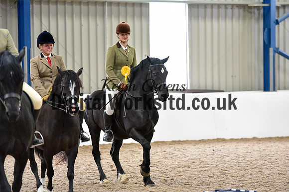 NECWPCA-SUMMER-WELSH-SILVER-MEDAL-SHOW (107 of 315)