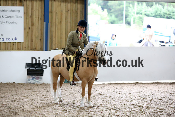 NECWPCA-SUMMER-WELSH-SILVER-MEDAL-SHOW (216 of 315)