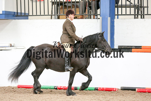 NECWPCA-SUMMER-WELSH-SILVER-MEDAL-SHOW (32 of 419)
