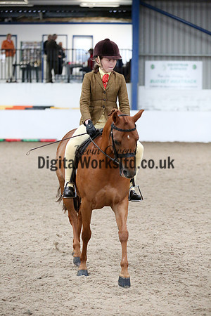 NECWPCA-SUMMER-WELSH-SILVER-MEDAL-SHOW (4 of 315)