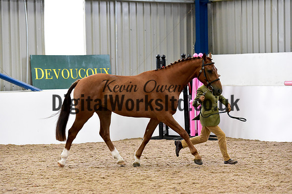 NECWPCA-SUMMER-WELSH-SILVER-MEDAL-SHOW (4 of 61)