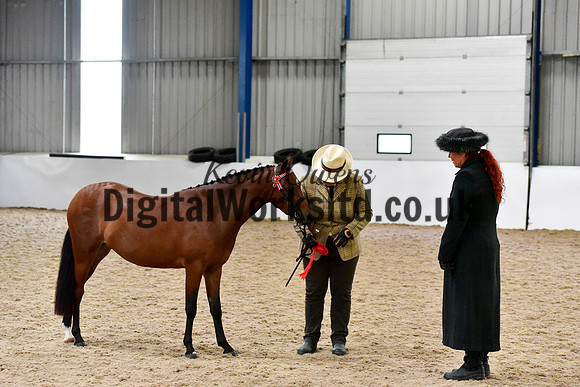 NECWPCA-SUMMER-WELSH-SILVER-MEDAL-SHOW (48 of 61)