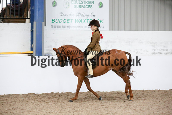 NECWPCA-SUMMER-WELSH-SILVER-MEDAL-SHOW (70 of 325)