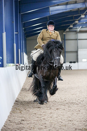 NECWPCA-SUMMER-WELSH-SILVER-MEDAL-SHOW (189 of 325)
