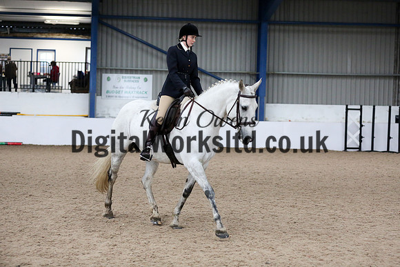 NECWPCA-SUMMER-WELSH-SILVER-MEDAL-SHOW (56 of 315)