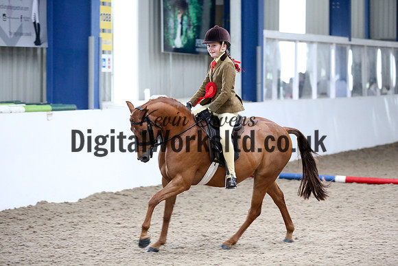 NECWPCA-SUMMER-WELSH-SILVER-MEDAL-SHOW (128 of 315)