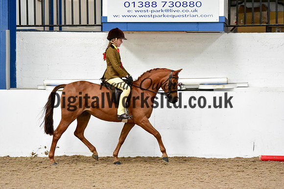 NECWPCA-SUMMER-WELSH-SILVER-MEDAL-SHOW (64 of 92)