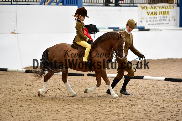 NECWPCA-SUMMER-WELSH-SILVER-MEDAL-SHOW (31 of 419)