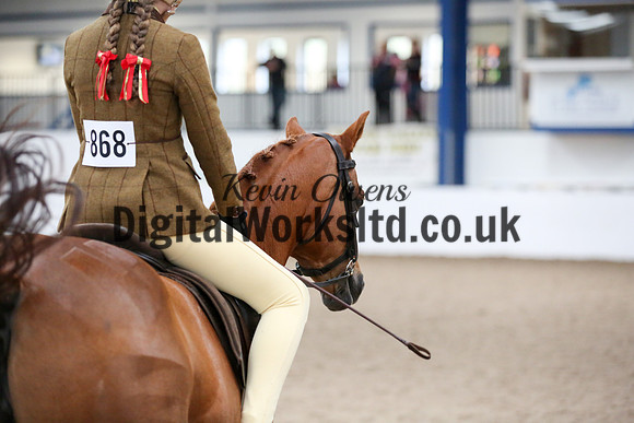 NECWPCA-SUMMER-WELSH-SILVER-MEDAL-SHOW (19 of 334)