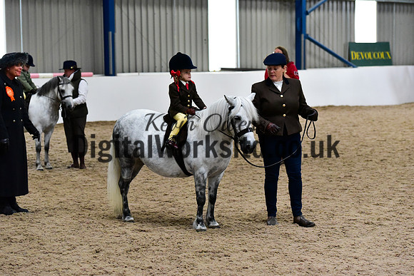 NECWPCA-SUMMER-WELSH-SILVER-MEDAL-SHOW (18 of 120)