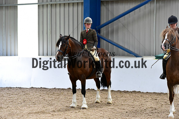 NECWPCA-SUMMER-WELSH-SILVER-MEDAL-SHOW (25 of 92)