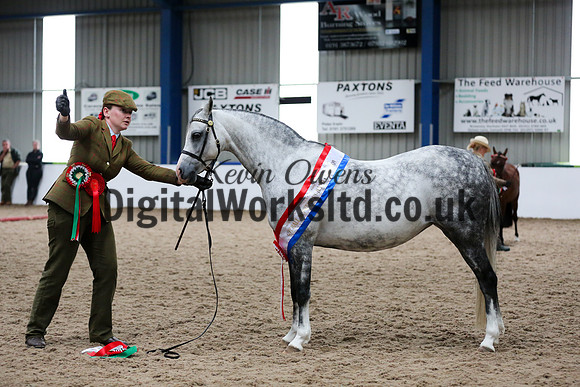 NECWPCA-SUMMER-WELSH-SILVER-MEDAL-SHOW (4 of 159)