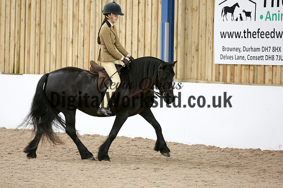 NECWPCA-SUMMER-WELSH-SILVER-MEDAL-SHOW (15 of 120)