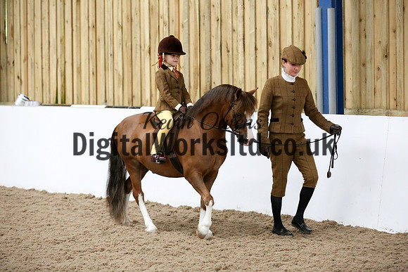 NECWPCA-SUMMER-WELSH-SILVER-MEDAL-SHOW (89 of 325)
