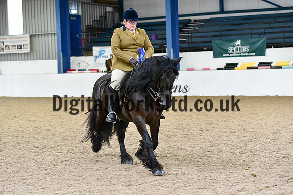 NECWPCA-SUMMER-WELSH-SILVER-MEDAL-SHOW (183 of 325)