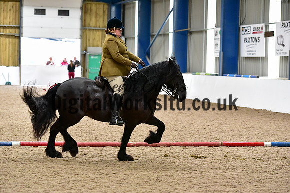 NECWPCA-SUMMER-WELSH-SILVER-MEDAL-SHOW (142 of 325)