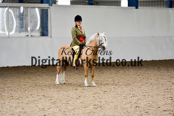NECWPCA-SUMMER-WELSH-SILVER-MEDAL-SHOW (84 of 92)