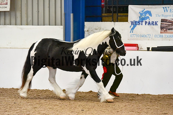 NECWPCA-SUMMER-WELSH-SILVER-MEDAL-SHOW (38 of 150)