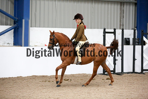 NECWPCA-SUMMER-WELSH-SILVER-MEDAL-SHOW (67 of 325)