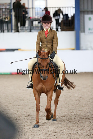 NECWPCA-SUMMER-WELSH-SILVER-MEDAL-SHOW (2 of 315)
