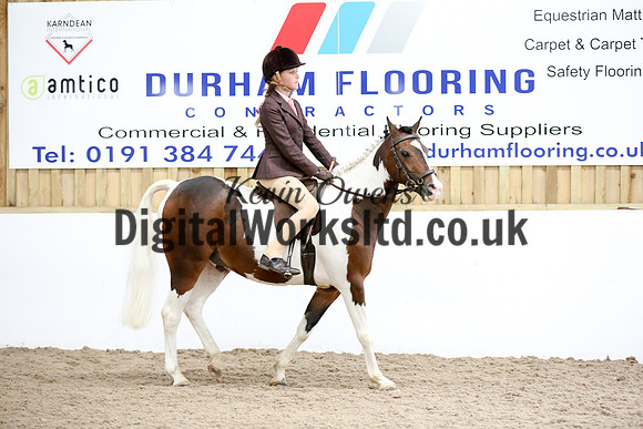 NECWPCA-SUMMER-WELSH-SILVER-MEDAL-SHOW (64 of 419)
