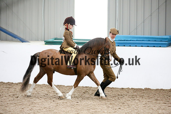 NECWPCA-SUMMER-WELSH-SILVER-MEDAL-SHOW (93 of 325)