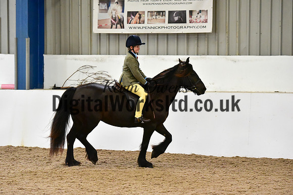 NECWPCA-SUMMER-WELSH-SILVER-MEDAL-SHOW (58 of 419)