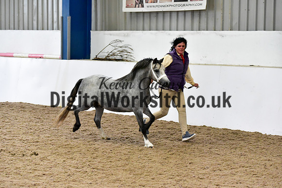 NECWPCA-SUMMER-WELSH-SILVER-MEDAL-SHOW (49 of 427)