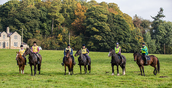 CAM15644