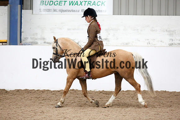 NECWPCA-SUMMER-WELSH-SILVER-MEDAL-SHOW (38 of 325)