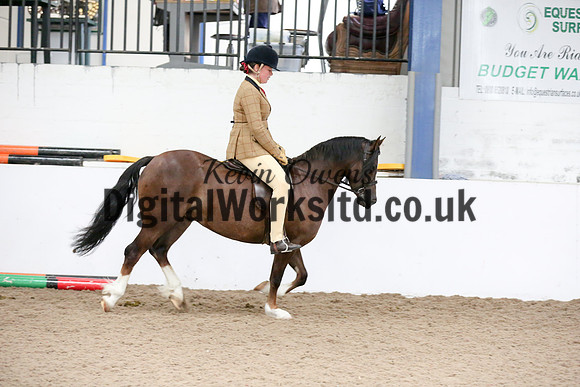 NECWPCA-SUMMER-WELSH-SILVER-MEDAL-SHOW (260 of 315)