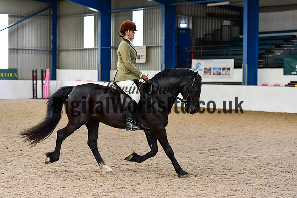 NECWPCA-SUMMER-WELSH-SILVER-MEDAL-SHOW (17 of 92)