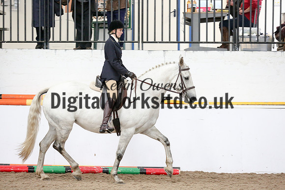 NECWPCA-SUMMER-WELSH-SILVER-MEDAL-SHOW (116 of 315)