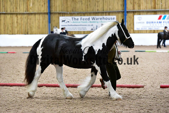 NECWPCA-SUMMER-WELSH-SILVER-MEDAL-SHOW (29 of 150)