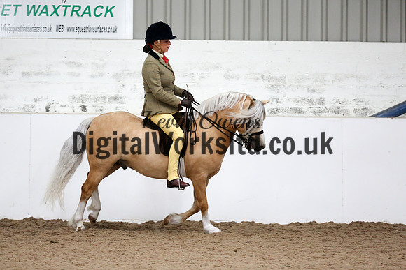 NECWPCA-SUMMER-WELSH-SILVER-MEDAL-SHOW (215 of 315)